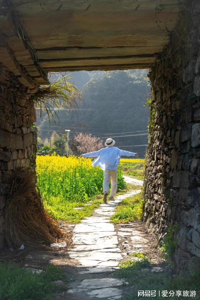 日小团费用高山草甸+星空露营绝配不朽情缘正规网站种草！武功山6(图2)