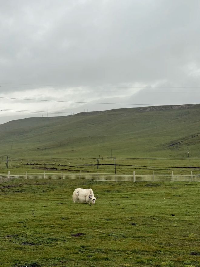 这份甘青大环线最佳路线图与深度旅游攻略不朽情缘正规网站青甘大环线怎么玩？收藏(图3)